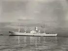 M/S EIDANGER. Foto från Köpenhamn den 4.6.1958.