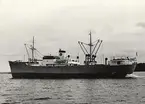 Lastfartyget m/s GANDIA av Göteborg 1965.