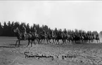 Framryckning i galopp. I täten löjtnant Gunnar Schildt och sergeant C-G Sjöblom.