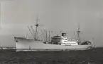 M/S PANAMA. Fotot taget den 16/9 1967.