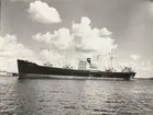 M/S LANGFONN. Foto från Köpenhamn 1957.