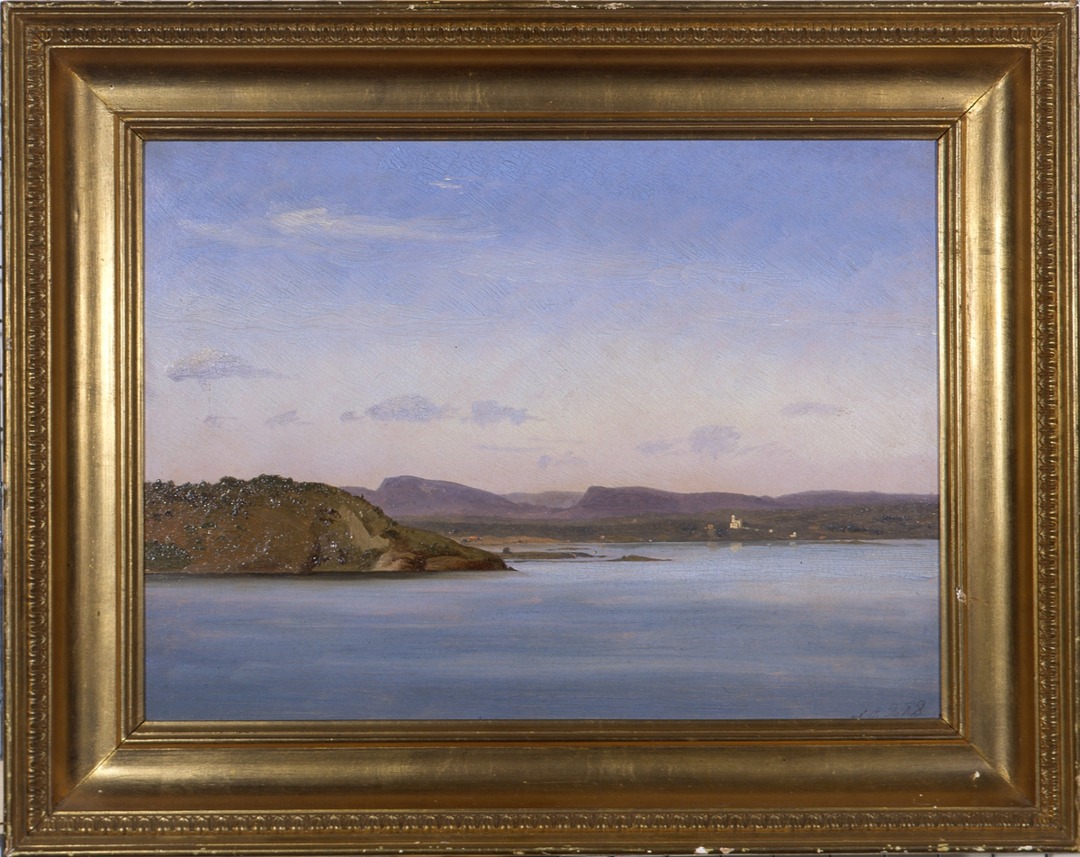 Fra Oslofjorden. 
Utsikt mot Bygdøy. 