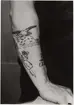 Tatueringsbilder.

Matrosen Bror Larsson.
Höger arm, handstucket arbete, utfört i Göteborg 1918 - 1920