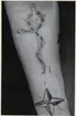 HAGLUND, HARRY
F. 28 febr 1922, STOCKHOLM
SJÖMAN , STOCKHOLM

Tatuering på underarm av fyrauddig stjärna samt en orm kring ett svärd.