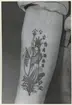 CARLSSON, TORSTEN
F. 1 DECEMBER 1907
SJÖMAN, STOCKHOLM

Tatuering på vänster underarm, utförd i USA 1926 för 1. Föreställer amerikanska frihetsgudinnan.