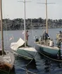 5.5-metersjakterna SABRE och KAN-BEI fotograferade i samband med 1959 års Sandhamnsregatta.