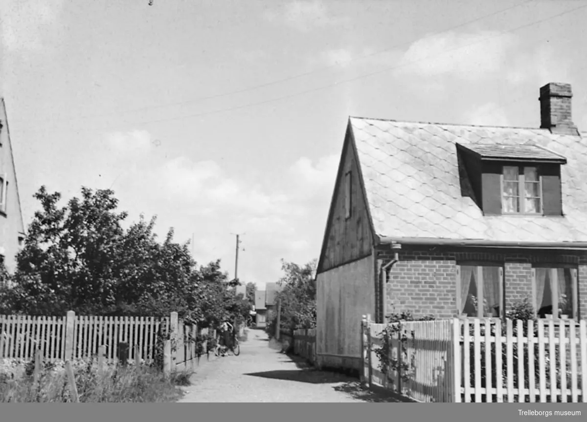 Tärngränden år 1955