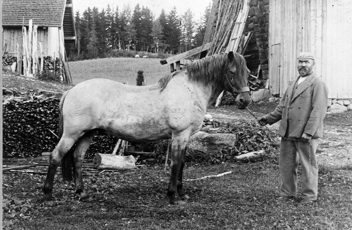 MANN M/HEST,  FOTOGRAF MARTIN FINBORUDS FAMILIE. Ukjent. Nes H.