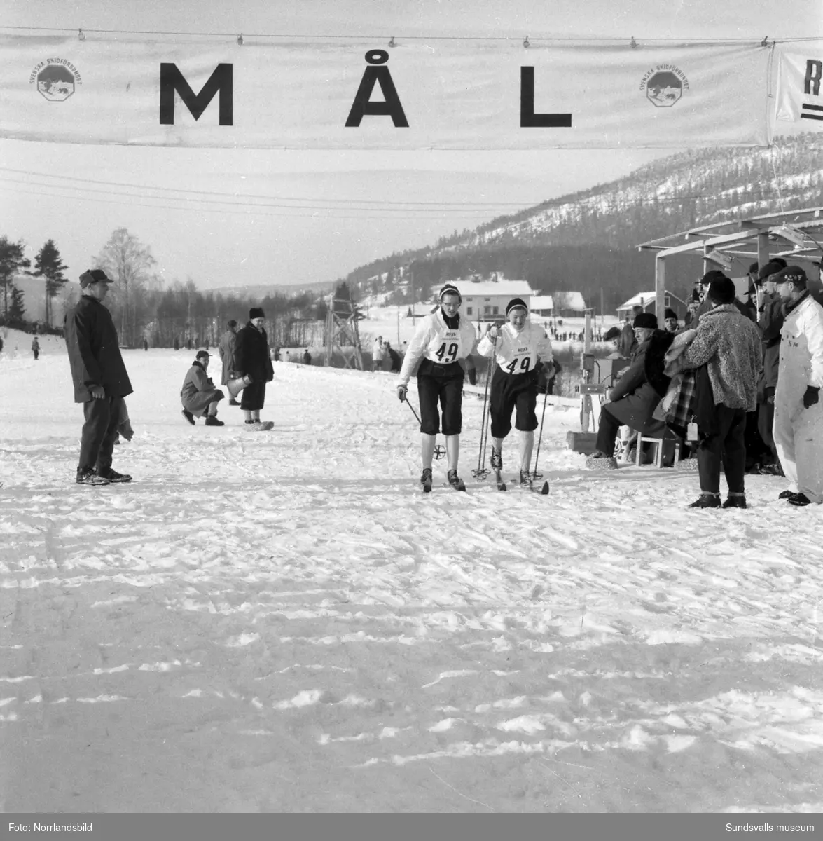 Skid-SM i Bergsåker, Sundsvall, 1955. Damstafett 3x7 km, vinnare Selångers SK (Margit Åsberg-Albrechtsson, Karin Engberg, Anna-Lisa Eriksson).