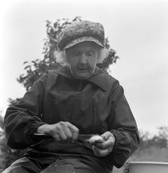 Aslaug Lier, lågåsildfiske, lagsild,  Helgøya, fiske i Mjøsa