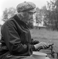 Aslaug Lier, lågåsildfiske, lagsild,  Helgøya, fiske i Mjøsa