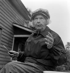 Aslaug Lier, lågåsildfiske, lagsild,  Helgøya, fiske i Mjøsa