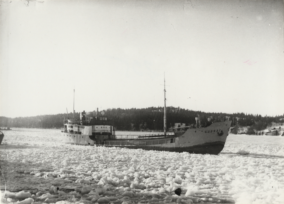 Tankmotorfartyget TERGUS av Stockholm. Fotot visar fartyget forcerande isen i Stockholms skärgård i början på 1940-talet.