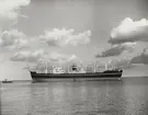 M/S TULANE. Foto från Köpenhamn den 4.4.1961.