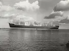 M/S TULANE. Foto från Köpenhamn den 4.4.1961.