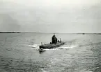 U-båten Tumlaren år 1954.