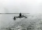 U-båten Tumlaren år 1954.