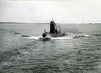 U-båten Tumlaren år 1954.