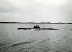 U-båten Tumlaren år 1954.