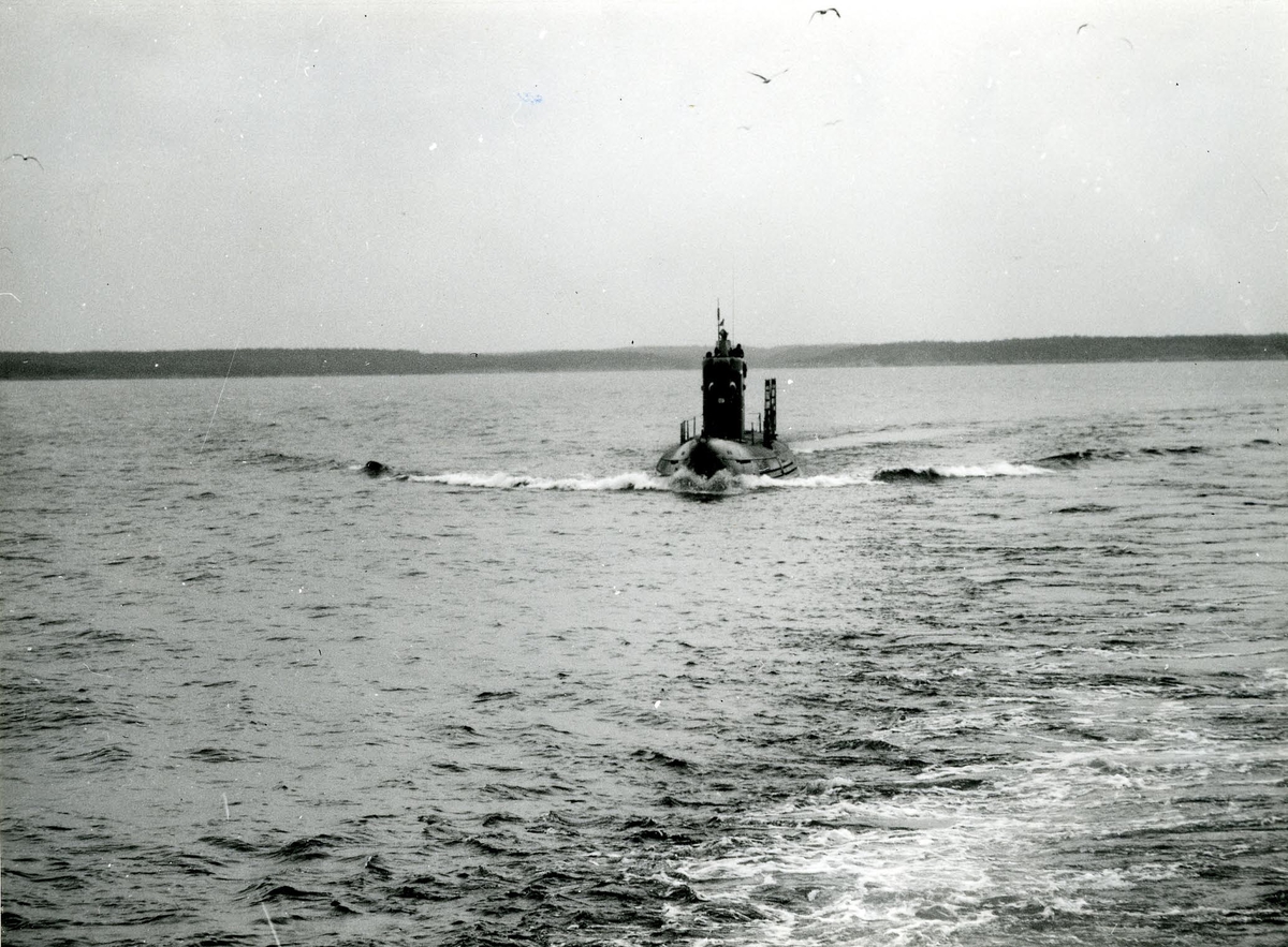 U-båten Tumlaren år 1954.