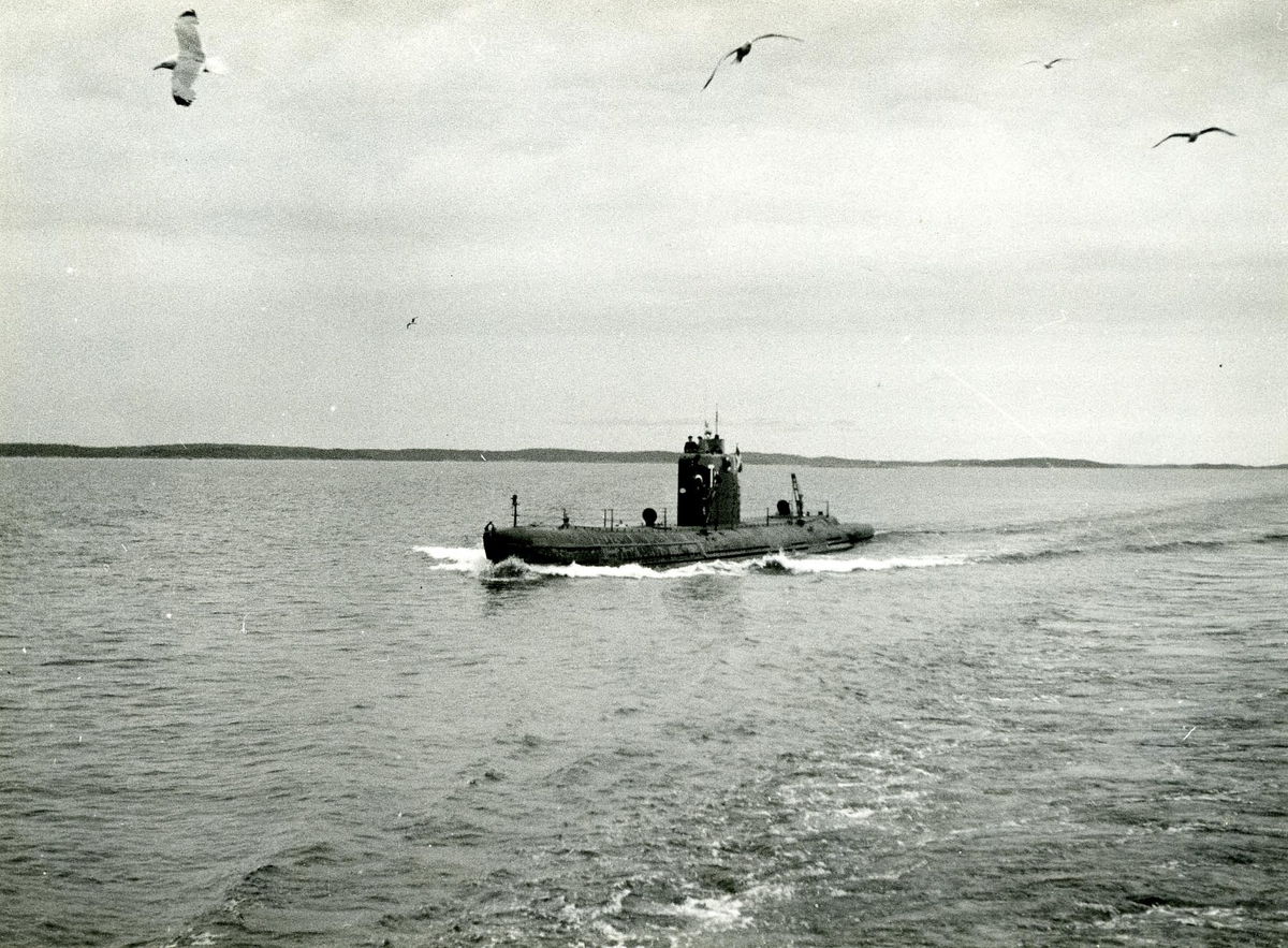 U-båten Tumlaren år 1954.