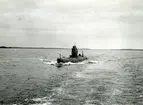 U-båten Tumlaren år 1954.