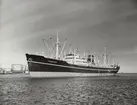 M/S TUNGUS. Foto från Köpenhamn den 15.3.1961.