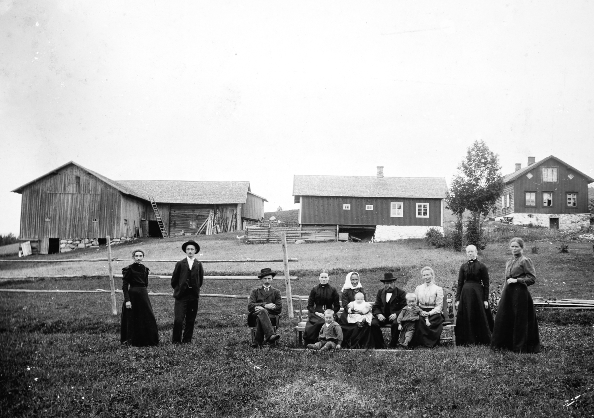 Tørudstad, nedre. Gnr. 219, bnr. 2. Nybygda, Furnes. 
Bak. Anna Andressen (Hansen), Martin Andressen, Olaus Tørudstad, Oline Hansen Tørudstad, Beate Granlien, Hans Granlien, Helene Hansen, Agnete Nordhagen (budeie i Tørudstad), Gusta Hansen.
Foran barna i familien Børe Tørudstad sitter på bakken foran mor (Oline) og mormor (Beate), Karen Tørudstad, Hans Tørudstad.