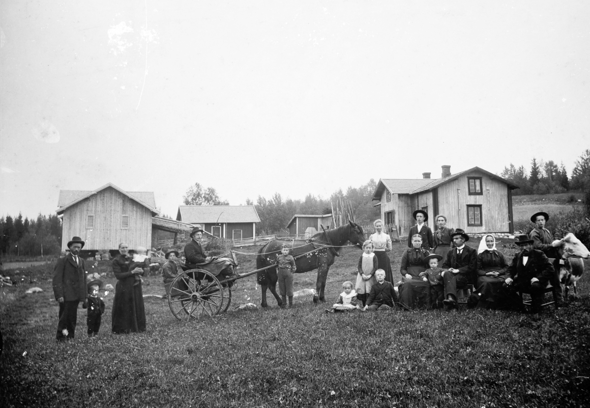 Bækkelien, gnr. 220, bnr. 2. Nybygda, Furnes. Bak Martin Andressen, Anna Andressen (Hansen) Midten Martin Hansen Granliengen, Louise Granliengen, Alfred .........?,(bak på kjerra) Olaus Tørudstad (kusk) , Peter ..........?, (foran hesten) Helene Hansen, Marte Bækkelien, Kristian Hansen Bækkelien, Beate Granlien, Hans Granlien, Hans Kristiansen Bækkelien.  Barna: Børe og Hans (Granliengen?) Beate, Marte Ole Karl (ukjent etternavn). Hest og kjerre, hestekjøretøy.