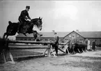 Träningshoppning på stallplan på tjänstehästen Master Bob, som var en mycket framstående prishoppningshäst, vann bland annat svår hoppning vid ryttarfesten i Göteborg 1911. Hederspriset var en mycket stor vackert utsirad silverskål, skänkt av Charles Heidsiek, Reims champagnefirma i Frankrike jfr 15431. Strömsholm 1910-11.