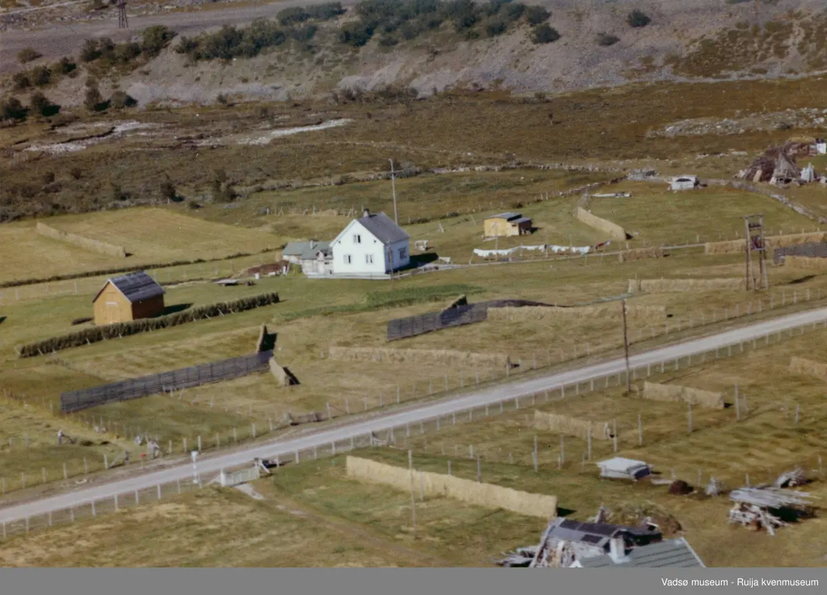 Flyfoto av Paddeby, Vadsø, 1963. Det hvite huset med fjøspåbygg bak er et kombinasjonshus/ Varangerhus. I ca 1956 ble selve hovedhuset utvidet og det ble bygget loft.