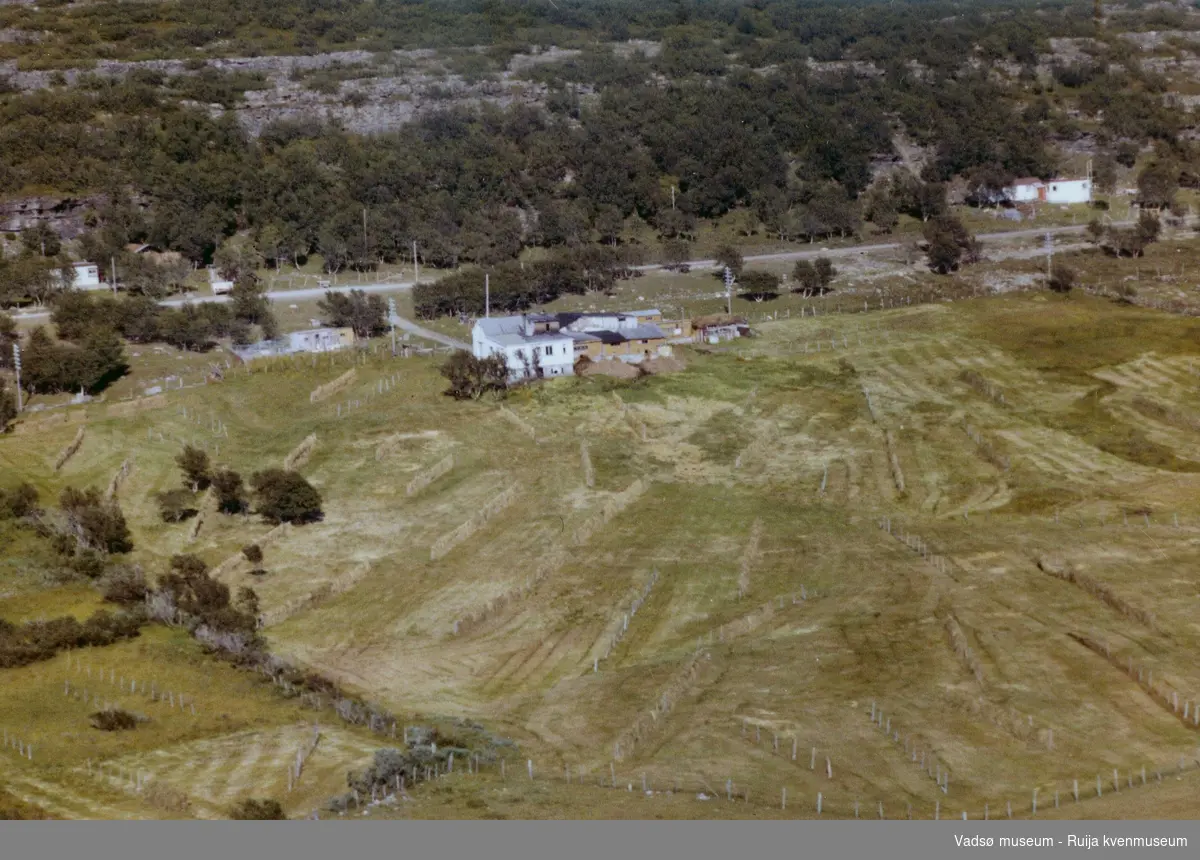 Flyfoto av Fugleberg, Vadsø kommune, 1963.