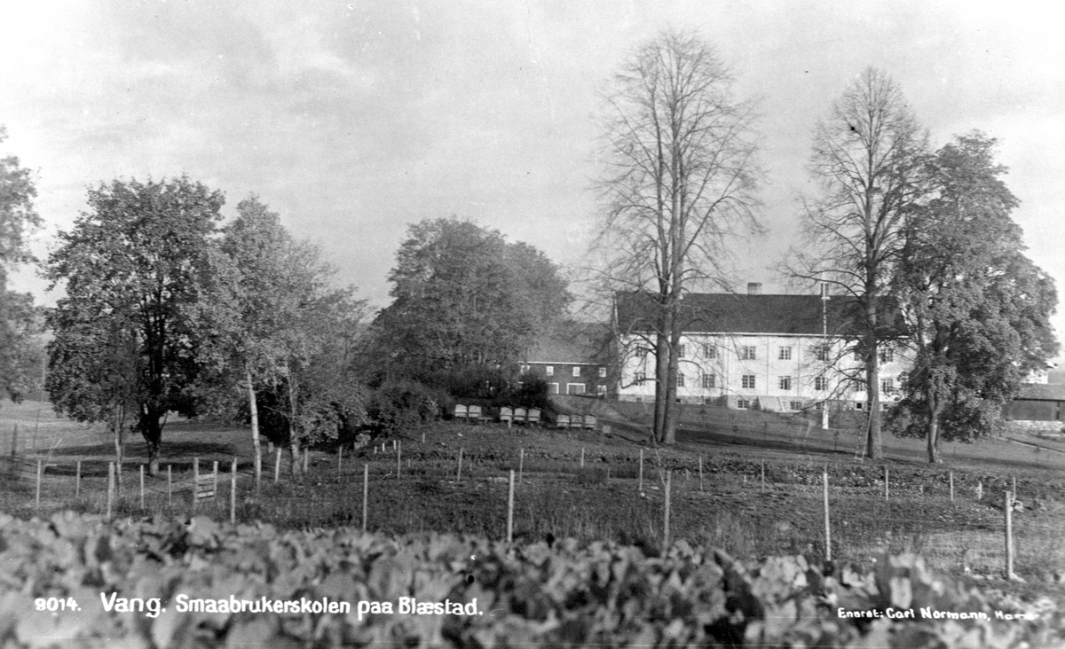Postkort, Vang H,  Blæstad Småbrukerskole,