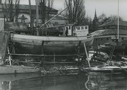 Rosenviks varf
NIORD