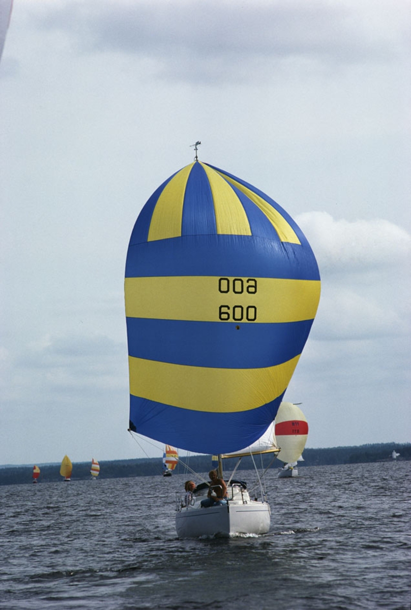 En Albin Viggen seglar för spinnaker.