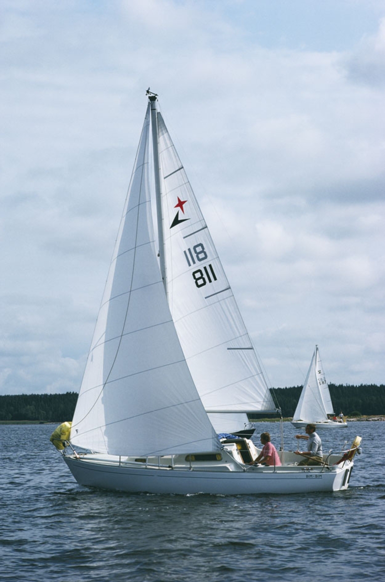 Albin Viggen