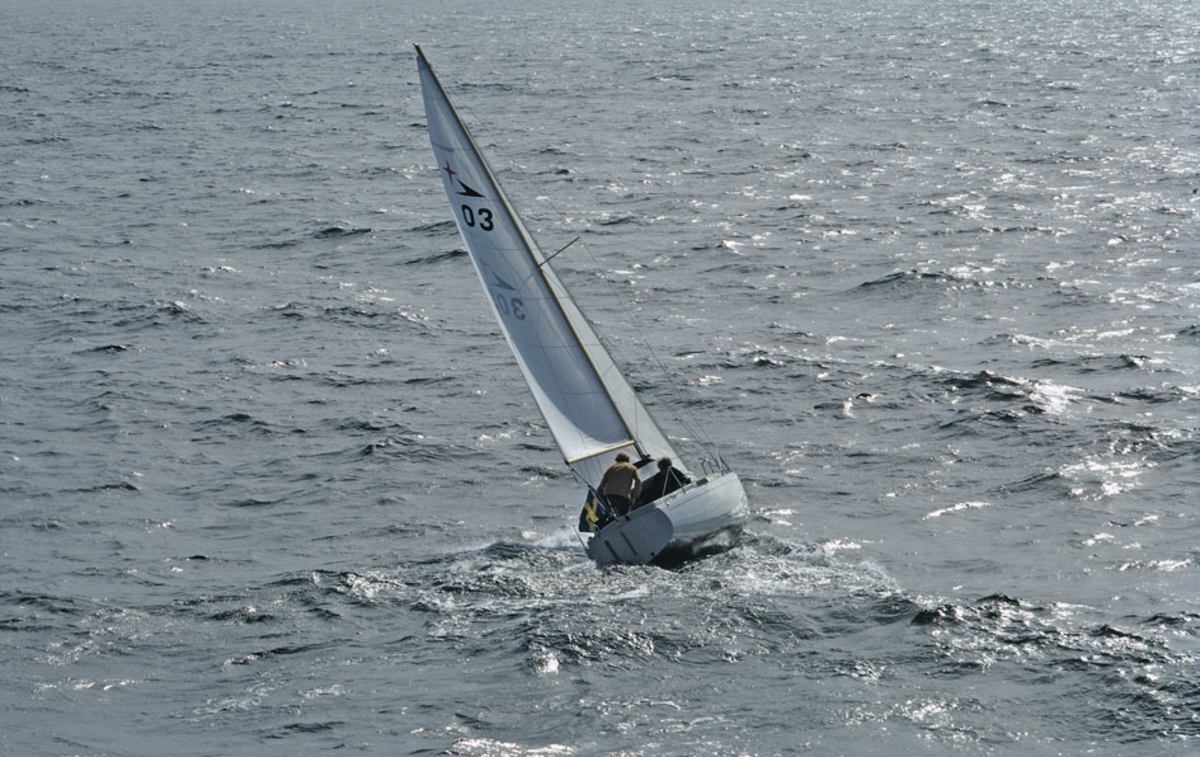 Albin Viggen