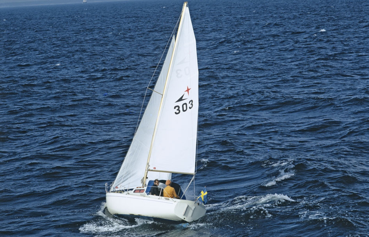 Albin Viggen