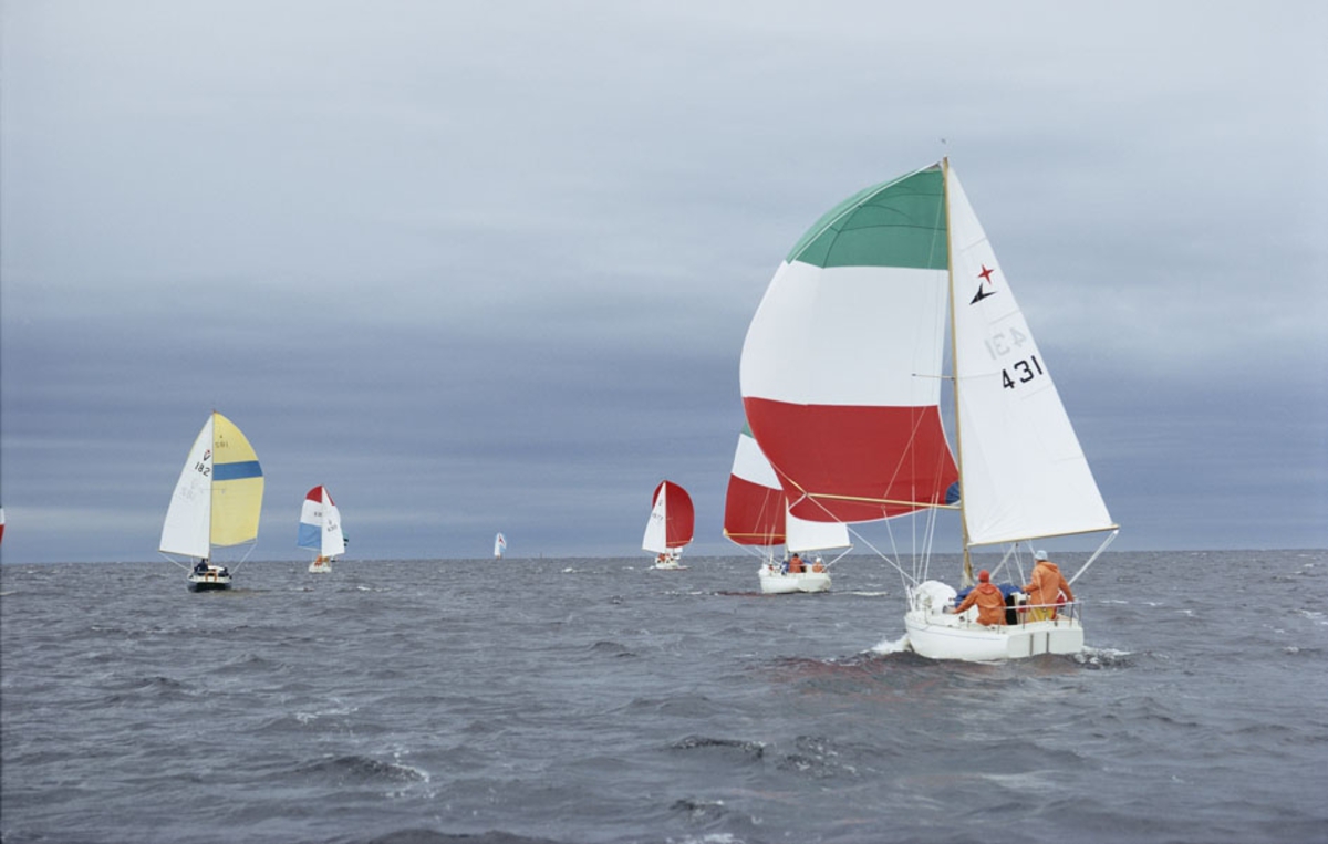 Segelbåtar seglar för spinnaker. I förgrunden en Albin Viggen.
