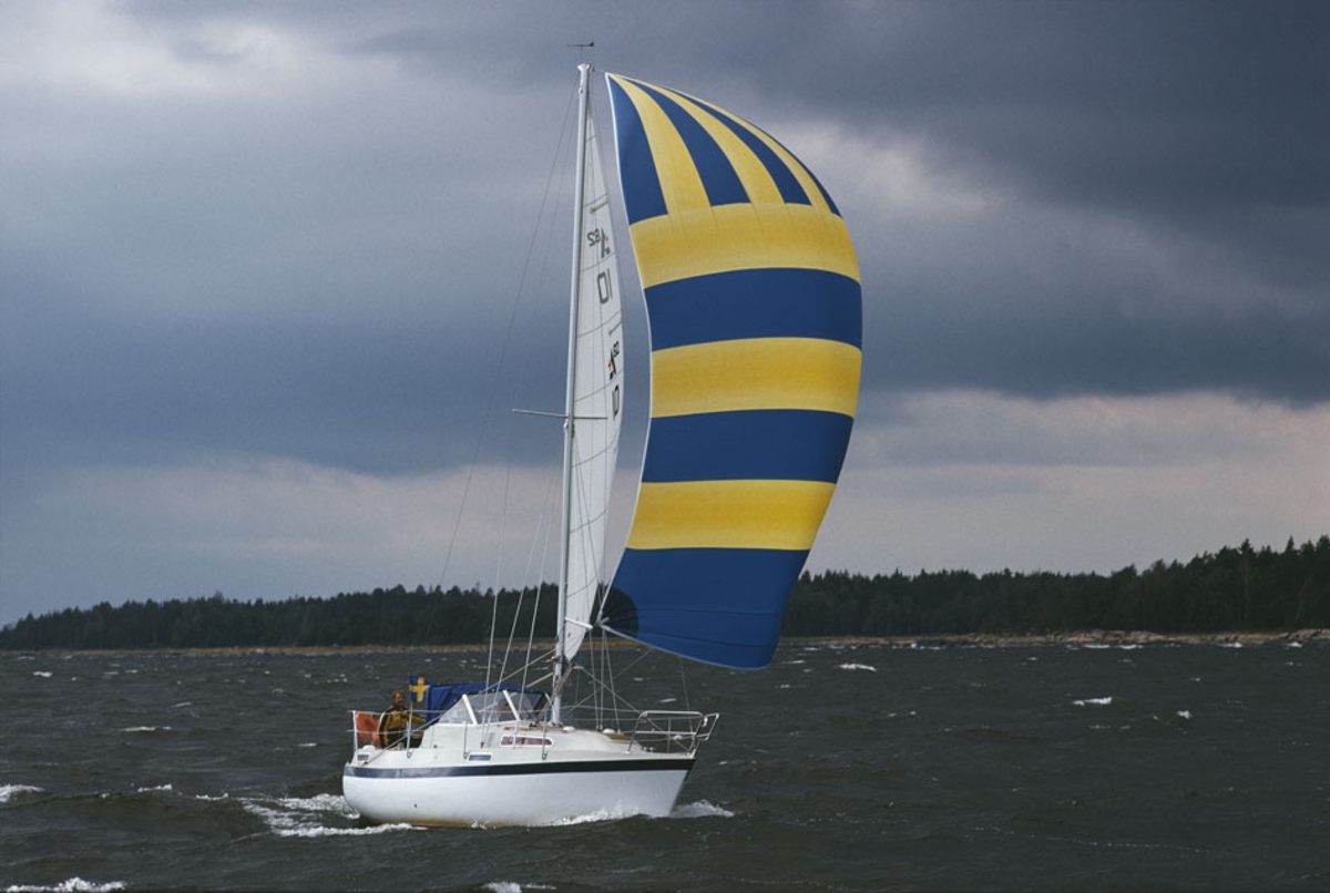 En Albin 82 MS seglar för spinnaker.