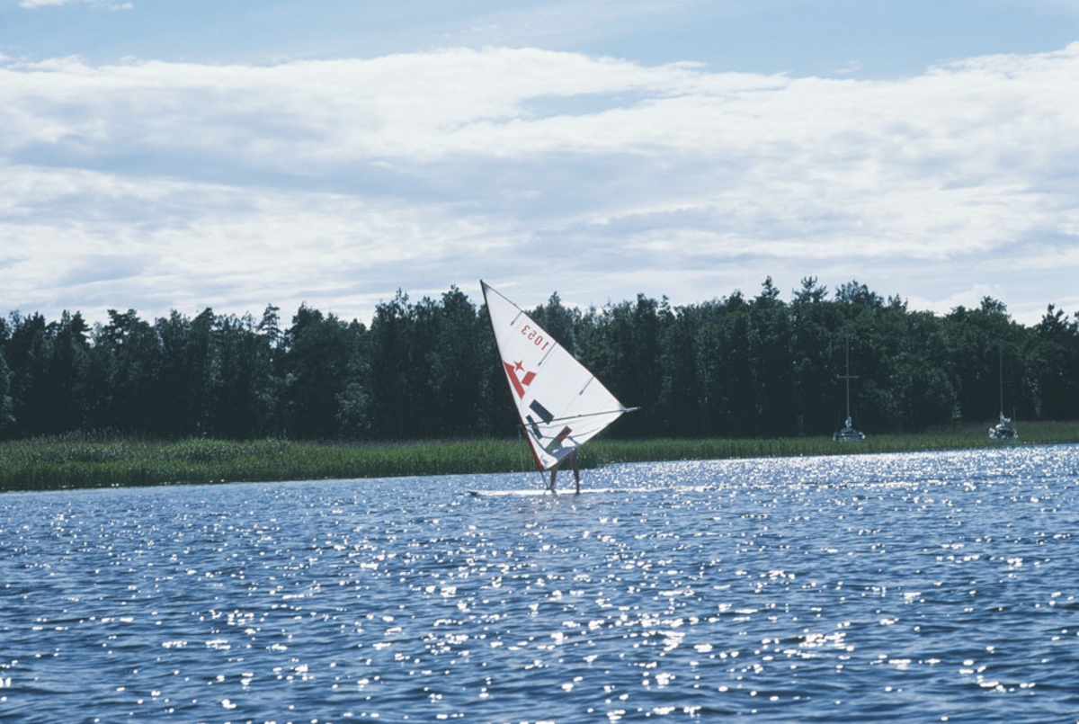 Vindsurfingbräda från Albin Marin.