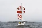 En Albin Nova seglar för spinnaker.