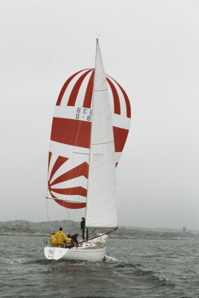 En Albin Nova seglar för spinnaker.
