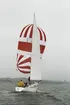 En Albin Nova seglar för spinnaker.