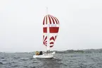 En Albin Nova seglar för spinnaker.