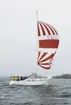 En Albin Nova seglar för spinnaker.