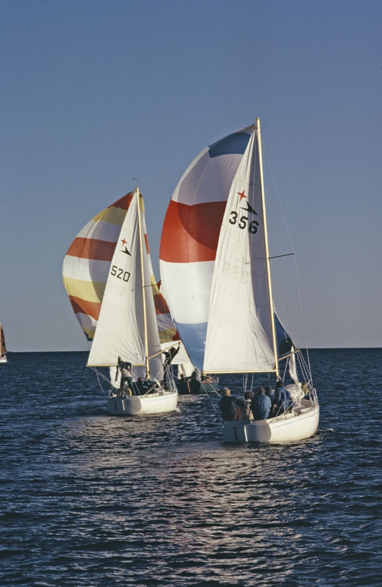 Två Albin Viggen seglar för spinnaker.