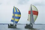 Två Albin Viggen seglar för spinnaker