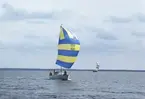 Albin Viggen seglar för spinnaker