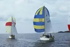 Två Albin Viggen seglar för spinnaker.